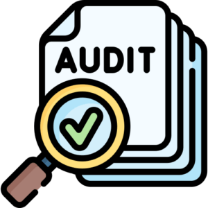 audit