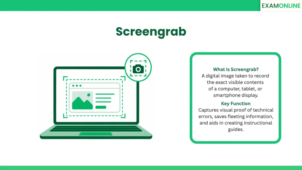 Screengrab: A digital image taken to record the exact visible contents of a computer, tablet, or smartphone display. Key Function: Captures visual proof of technical errors, saves fleeting information, and aids in creating instructional guides.