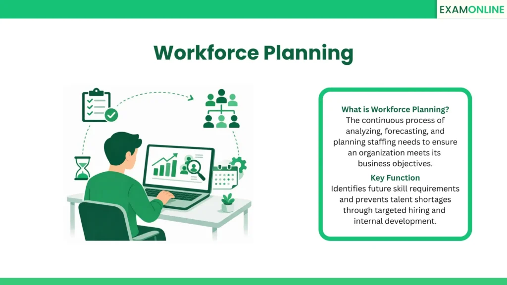 Workforce Planning: The continuous process of analyzing, forecasting, and planning staffing needs to ensure an organization meets its business objectives. Key Function: Identifies future skill requirements and prevents talent shortages through targeted hiring and internal development.